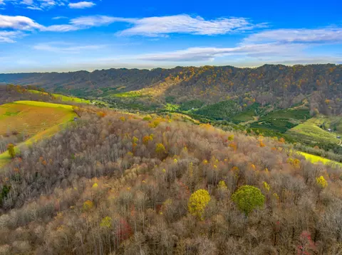 000 Horton Ford Rd, Eidson, TN 37731 photo 23