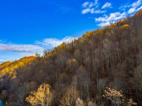 000 Horton Ford Rd, Eidson, TN 37731 photo 19