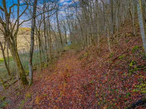 000 Horton Ford Rd, Eidson, TN 37731 photo 14