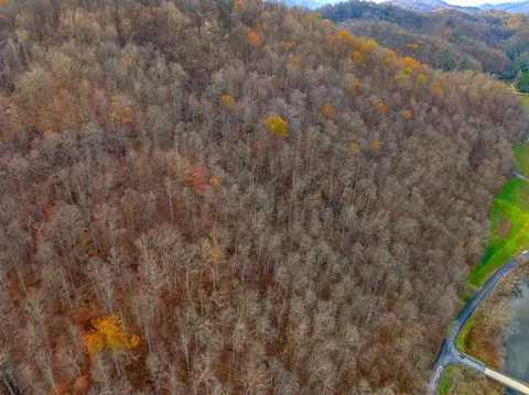 000 Horton Ford Rd, Eidson, TN 37731 photo 10
