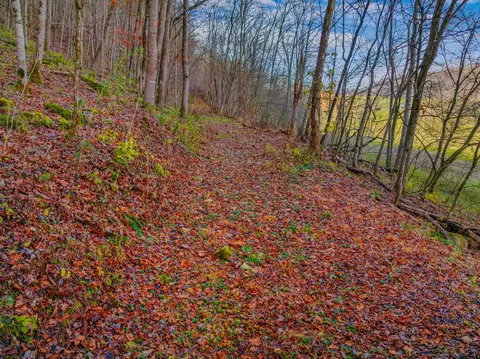 000 Horton Ford Rd, Eidson, TN 37731 photo 16