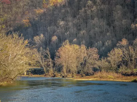 000 Horton Ford Rd, Eidson, TN 37731 photo 28