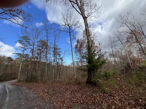 378- Tr Apt 2 Rocky Top Rd, Newport, TN 37821