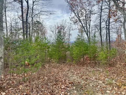 378- Tr E Rocky Top Rd, Newport, TN 37821