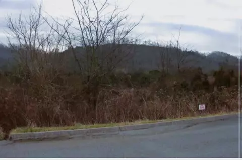 lot206 Wedge Way, Tazewell, TN 37879