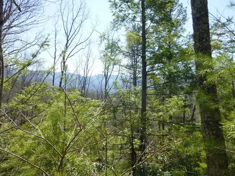 lot S 2425 Sonshine Ridge Rd, Cosby, TN 37722