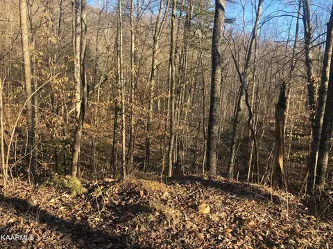 lot68 Yellowwood Dr, Sevierville, TN 37876