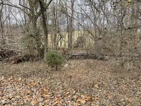 1502 Allen Rd, Talbott, TN 37877 photo 48