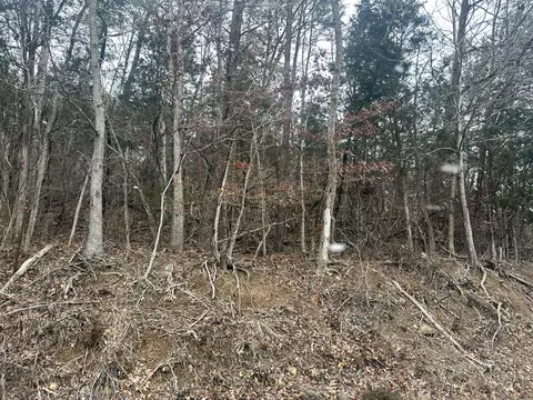 2 South White Pine Road, White Pine, TN 37890
