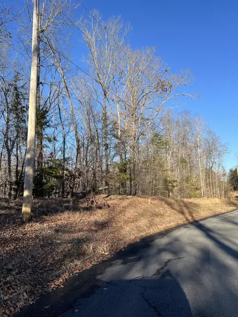lot103 Turtle Dove Trl, Dandridge, TN 37725