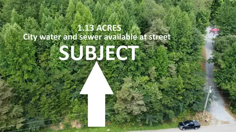 lot8 Bluets Rd, Newport, TN 37821