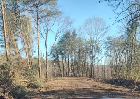 tbd Highway 70 S, Rogersville, TN 37857