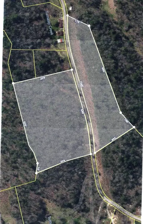 000 Black Mountain Rd, Hartford, TN 37753