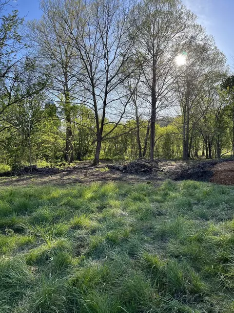 0 Clinch Valley Rd, Eidson, TN 37731 photo 9