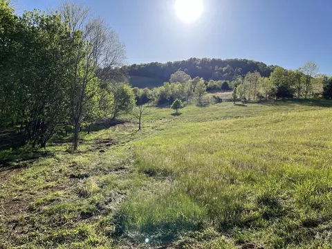 0 Clinch Valley Rd, Eidson, TN 37731 photo 10