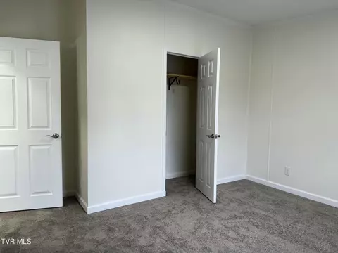 100 Lovelace Mountain View Loop, Fall Branch, TN 37656 photo 22