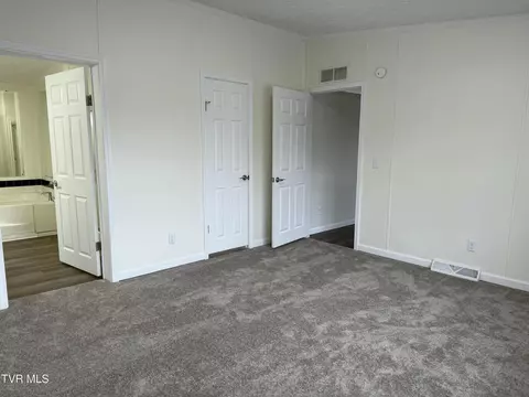 100 Lovelace Mountain View Loop, Fall Branch, TN 37656 photo 9