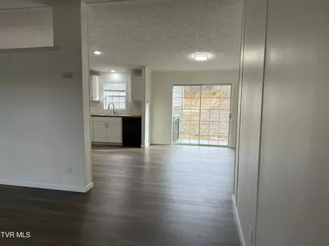 100 Lovelace Mountain View Loop, Fall Branch, TN 37656 photo 5