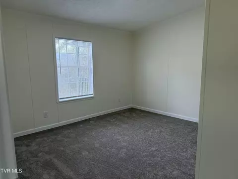 100 Lovelace Mountain View Loop, Fall Branch, TN 37656 photo 25
