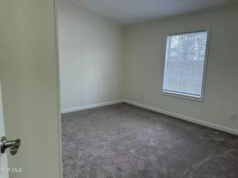 100 Lovelace Mountain View Loop, Fall Branch, TN 37656 photo 20