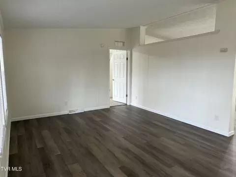 100 Lovelace Mountain View Loop, Fall Branch, TN 37656 photo 7