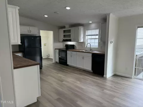 100 Lovelace Mountain View Loop, Fall Branch, TN 37656 photo 13