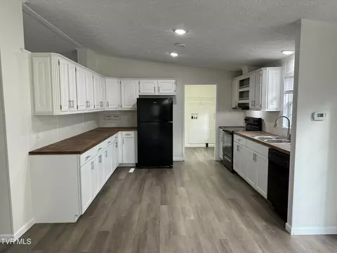 100 Lovelace Mountain View Loop, Fall Branch, TN 37656 photo 14