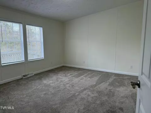 100 Lovelace Mountain View Loop, Fall Branch, TN 37656 photo 8