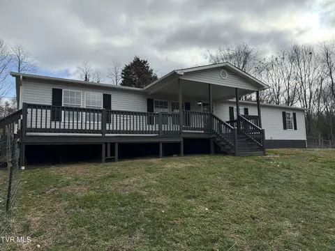 100 Lovelace Mountain View Loop, Fall Branch, TN 37656 photo 2