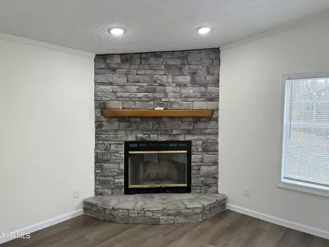 100 Lovelace Mountain View Loop, Fall Branch, TN 37656 photo 19