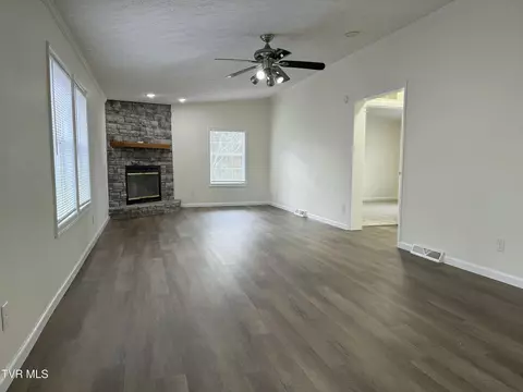 100 Lovelace Mountain View Loop, Fall Branch, TN 37656 photo 18
