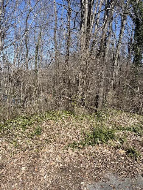 98 Geneva Cir, Morristown, TN 37813