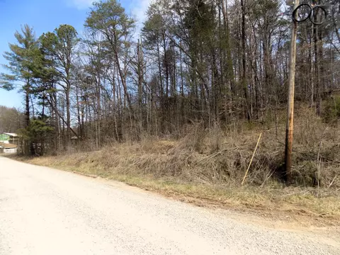lot50 51 Deerfoot Rd, Cosby, TN 37722