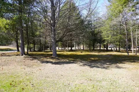 lot20 Rhododendron Trl, Cosby, TN 37722