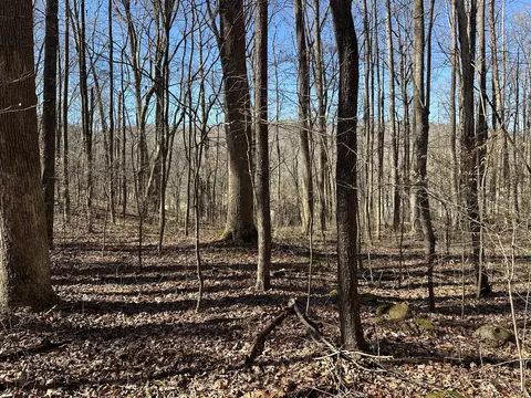 4105 Cosby Hwy, Cosby, TN 37722