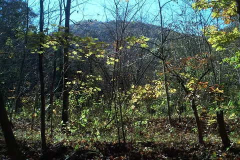 Par 030.04 Old Mountain Road, Thorn Hill, TN 37881