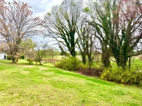 lot2516 R St Andrews Rd, Baneberry, TN 37890
