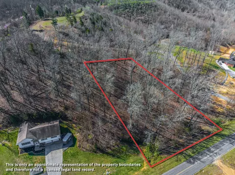 0 93 Acre Nina Rd, White Pine, TN 37890