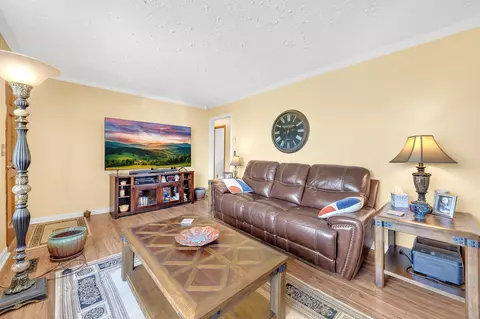 Living - 1563 Senator Cir, Talbott, TN 37877 photo 2 of 3