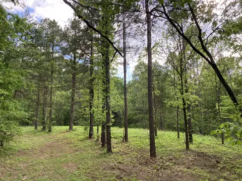 24 S 265 S Mohawk Rd, Midway, TN 37809 photo 12