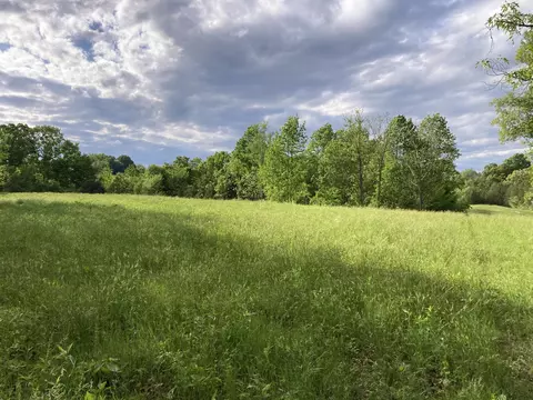 24 S 265 S Mohawk Rd, Midway, TN 37809 photo 3