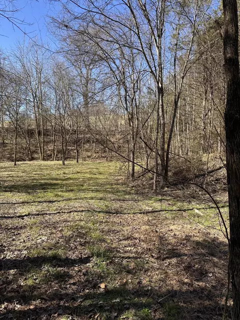 24 S 265 S Mohawk Rd, Midway, TN 37809 photo 41