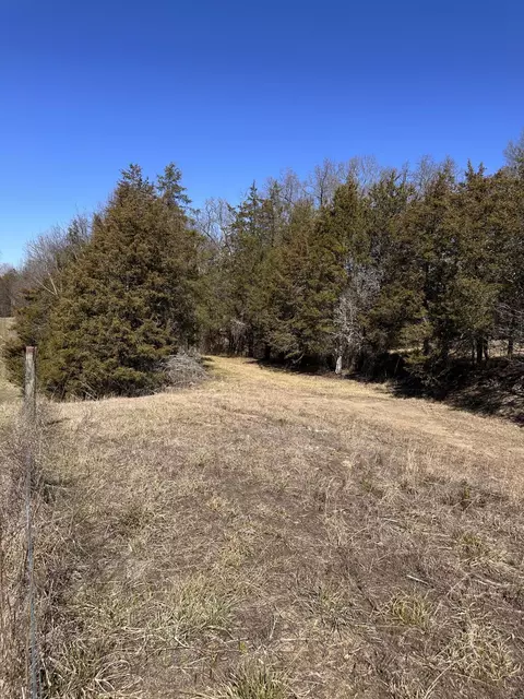 24 S 265 S Mohawk Rd, Midway, TN 37809 photo 30