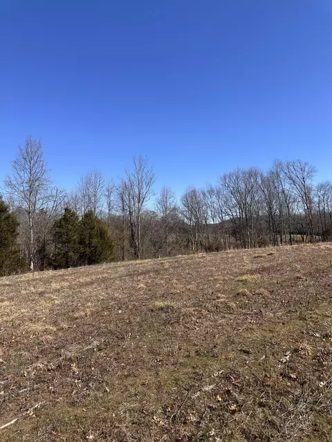 24 S 265 S Mohawk Rd, Midway, TN 37809 photo 39