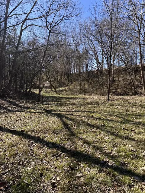 24 S 265 S Mohawk Rd, Midway, TN 37809 photo 42