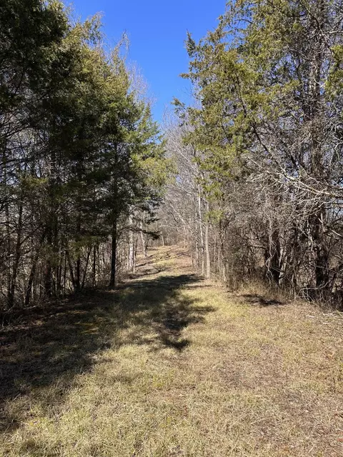 24 S 265 S Mohawk Rd, Midway, TN 37809 photo 40