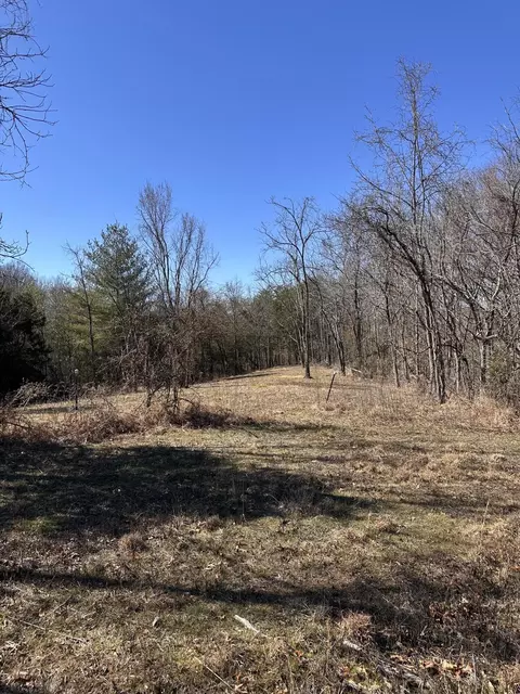 24 S 265 S Mohawk Rd, Midway, TN 37809 photo 35