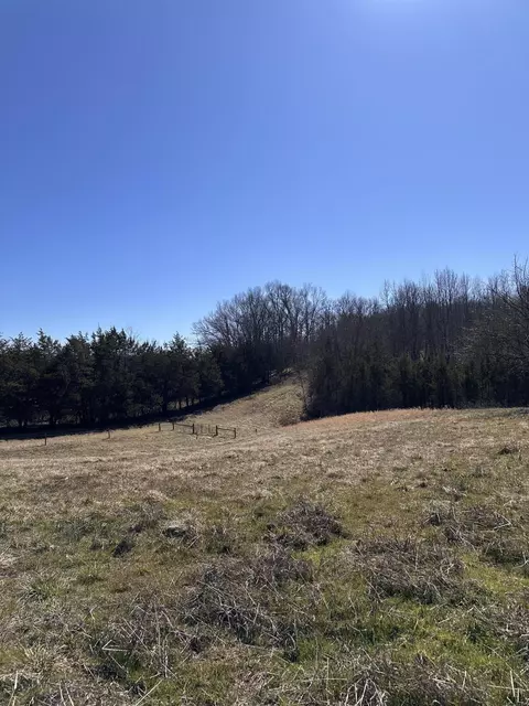 24 S 265 S Mohawk Rd, Midway, TN 37809 photo 29