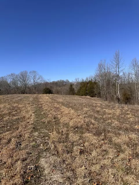 24 S 265 S Mohawk Rd, Midway, TN 37809 photo 34