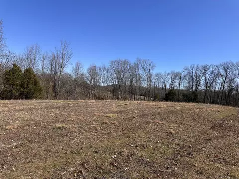 24 S 265 S Mohawk Rd, Midway, TN 37809 photo 37